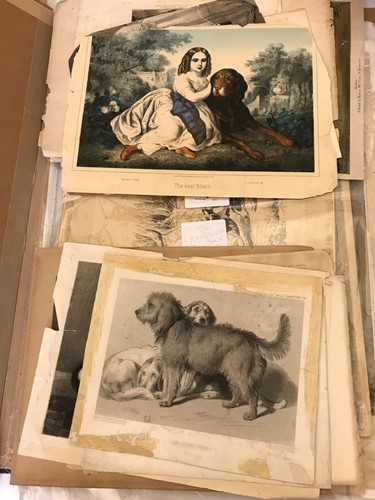 Lot 4 - A mixed collection of loose prints