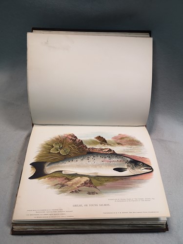 Lot 215 - The Printers' International Specimen Exchange