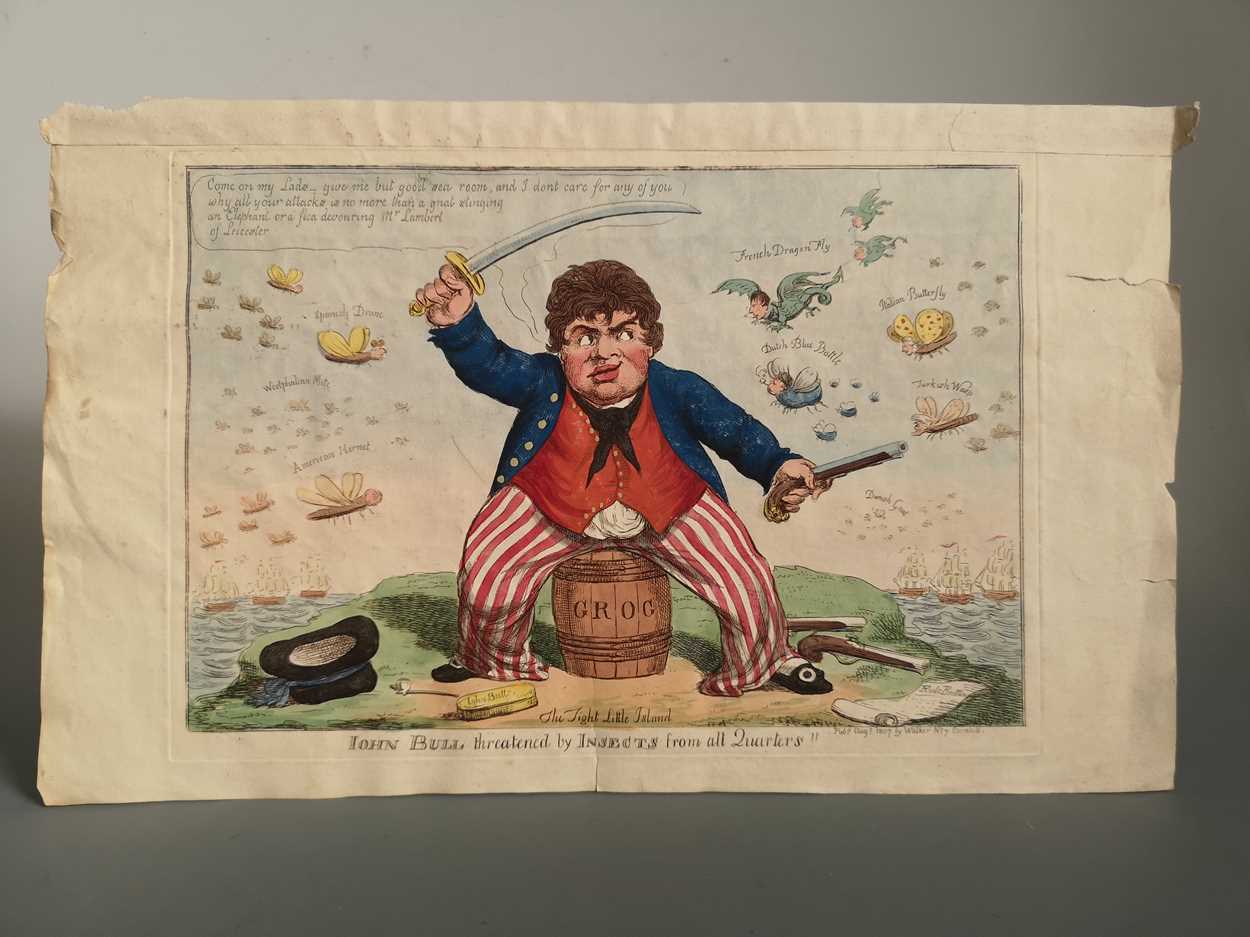 Lot 18 - John Bull threatened by Insects from all