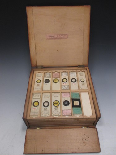 Lot 117 - A box of 95 microscope slides, early 20th...