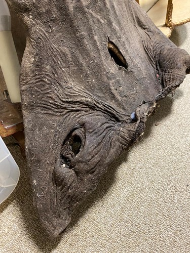 Lot 425 - A large Sawfish rostrum, probably late 19th century