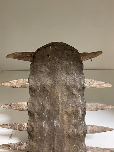 Lot 425 - A large Sawfish rostrum, probably late 19th century