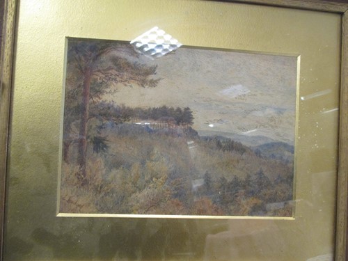 Lot 456 - Edgar Leuchars: “Kingsroad Firs from the old...