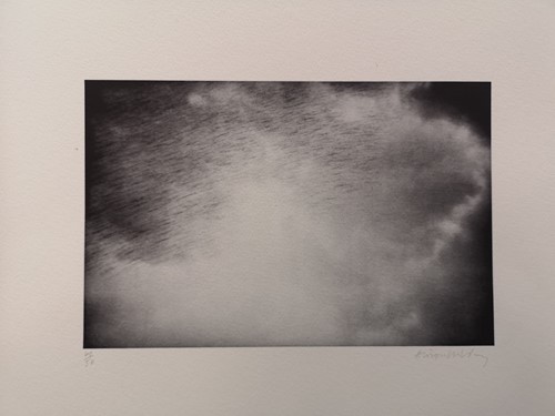 Lot 393 - Alison Wilding OBE RA (British 1948-)