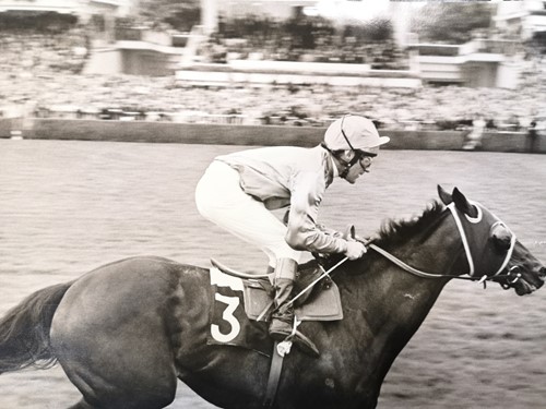 Lot 230 - Horse racing interest, from the estate of the late Greville Starkey