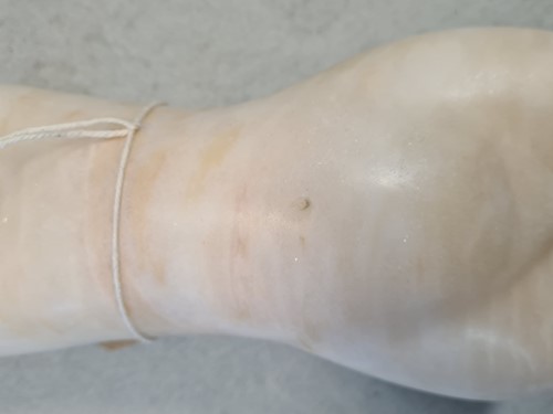 Lot 66 - Emily Young FRBS (British, born 1951), nude torso