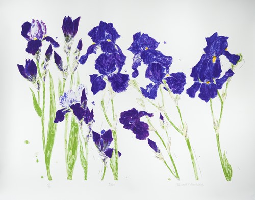 Lot 343 - Dame Elizabeth Blackadder DBE, RA, RSA (Scottish 1931-)