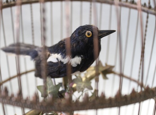Lot 792 - A Bontems-type singing bird automaton
