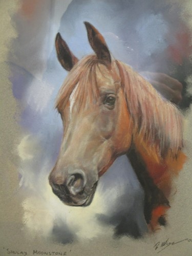 Lot 622 - Richard Wise, study of a horse, 'Shulay...