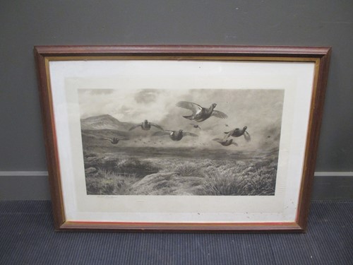 Lot 500 - Archibald Thorburn (British 1860-1935) Grouse...