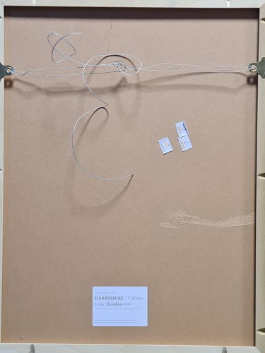 Lot 417 - Gillian Wearing CBE, RA (British 1963-)