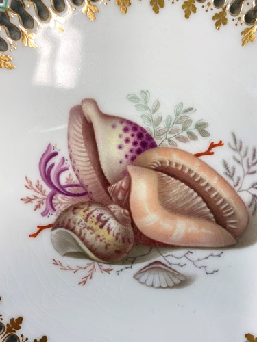 Lot 293 - A Royal Worcester Kerr & Binns cabinet plate, in the manner of George Owen