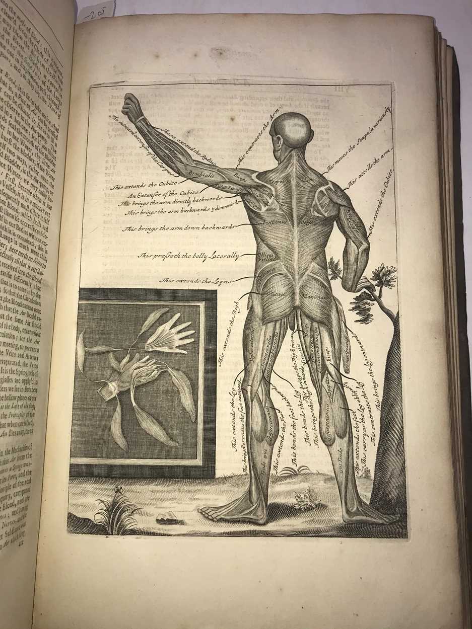 Lot 118 - Anatomy.