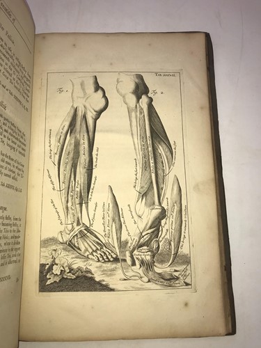 Lot 118 - Anatomy.