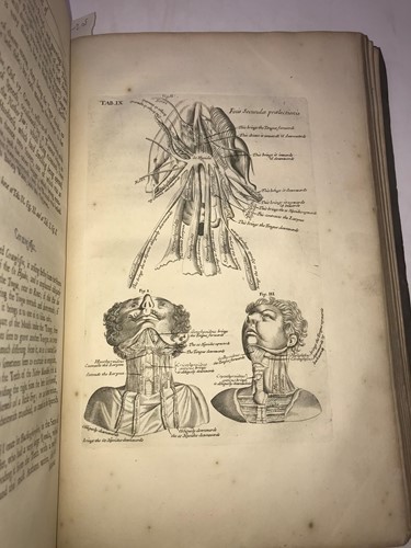 Lot 118 - Anatomy.