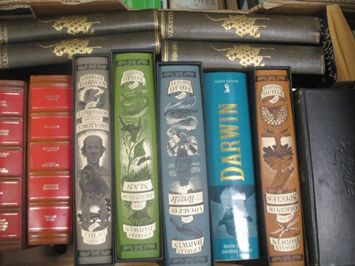 Lot 609 - Books, general literature, novels, reference,...