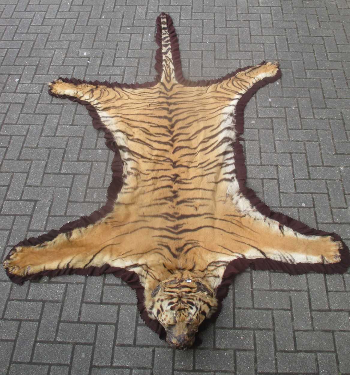 Lot 172 - A Tiger skin rug (head worn in parts)