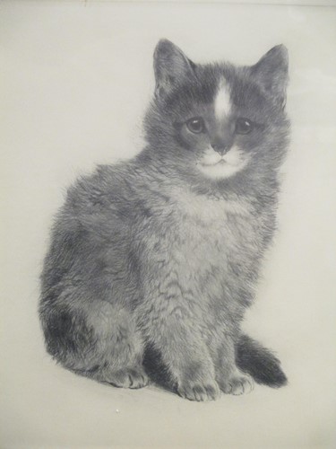 Lot 284 - Curt Meyer Eberhadt - seated cat etching and...