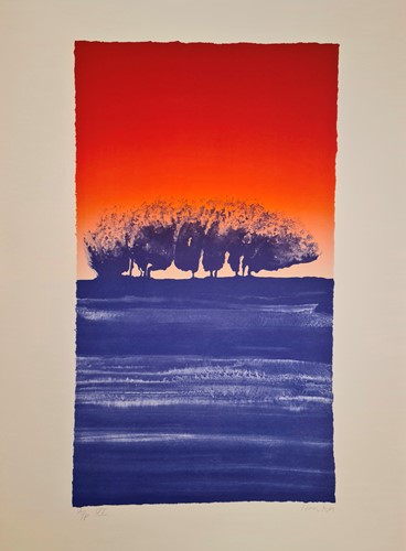 Lot 51 - A folio of 14 prints to include