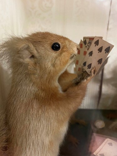 Lot 449 - Taxidermy, an anthropomorphic diorama of card playing and dancing Red Squirrels, early 20th century