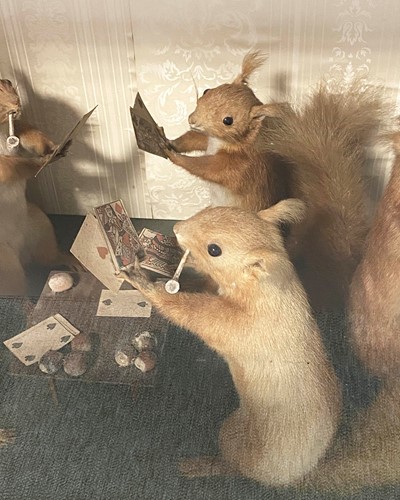 Lot 449 - Taxidermy, an anthropomorphic diorama of card playing and dancing Red Squirrels, early 20th century