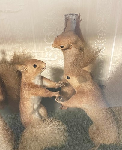 Lot 449 - Taxidermy, an anthropomorphic diorama of card playing and dancing Red Squirrels, early 20th century