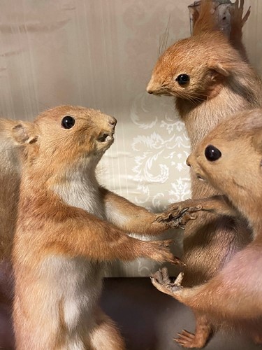 Lot 449 - Taxidermy, an anthropomorphic diorama of card playing and dancing Red Squirrels, early 20th century
