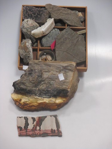 Lot 17 - Geological interest: a collection of multiple...