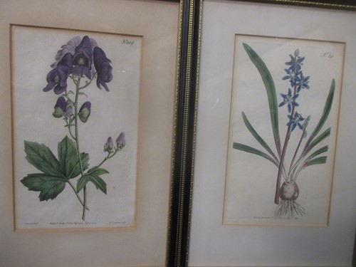 Lot 234 - A large collection of coloured botanical...