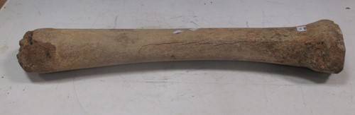 Lot 119 - A fossilized bone, possibly mammoth, 77cm long;...