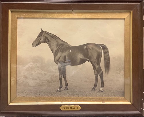 Lot 525 - Florizell II by Clarence Hailey of Newmarket...