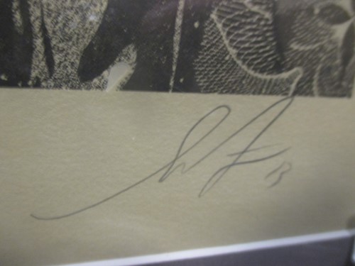 Lot 192 - Shepard Fairey, Sid - Superman is dead,...