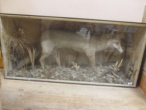 Lot 193 - A taxidermy rabbit caught by a fox within a...