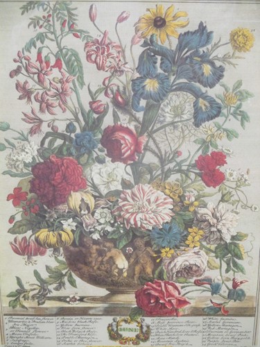 Lot 500 - Three modern framed botanical prints after...