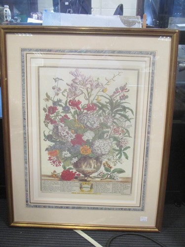 Lot 500 - Three modern framed botanical prints after...
