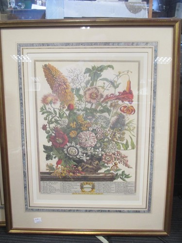 Lot 500 - Three modern framed botanical prints after...