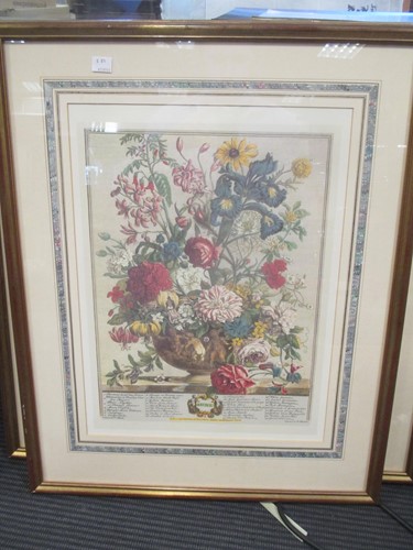 Lot 500 - Three modern framed botanical prints after...