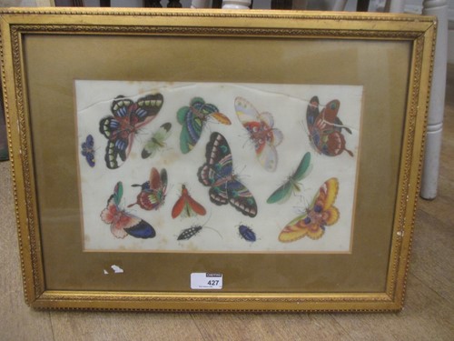 Lot 427 - Four Chinese paintings of butterflies on rice...