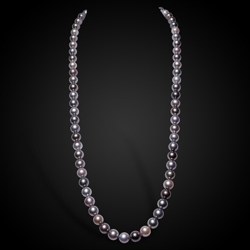 Lot 241 - An Opera length single row of multicolour Tahitian South Sea cultured pearls