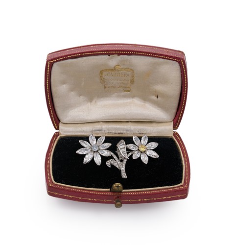 Lot 252 - A white and fancy colour diamond daisy brooch