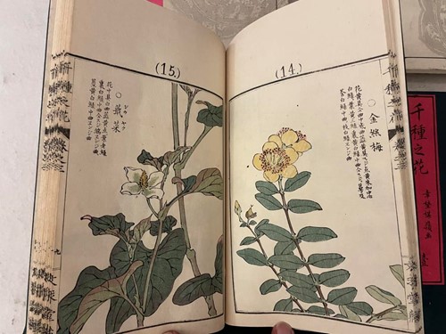 Lot 255 - KONO BAIRIE (1844-95) Chigusa no Hana,...