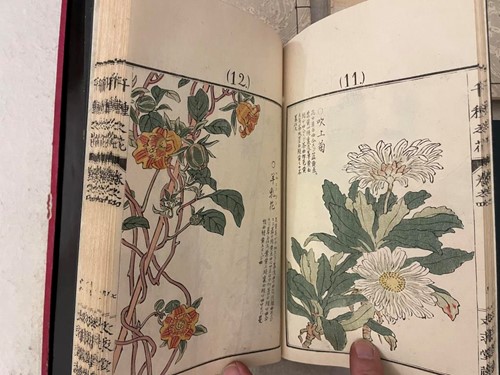 Lot 255 - KONO BAIRIE (1844-95) Chigusa no Hana,...