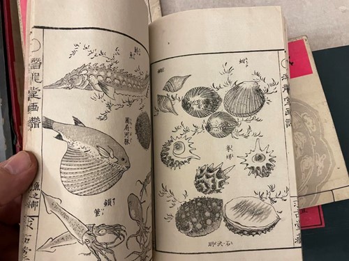 Lot 255 - KONO BAIRIE (1844-95) Chigusa no Hana,...