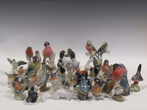 Lot 137 - A collection of continental birds by Karl Ens...
