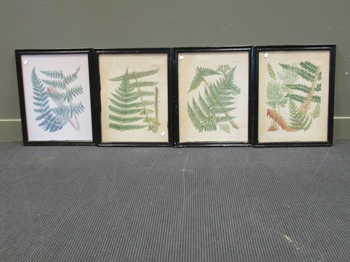 Lot 547 - Four OKA fern prints, framed, and a painted...
