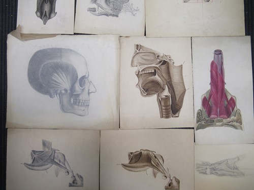 Lot 341 - A small quantity of 19th century anatomical...