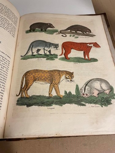 Lot 192 - BUFFON (Count de) A Natural History, General...