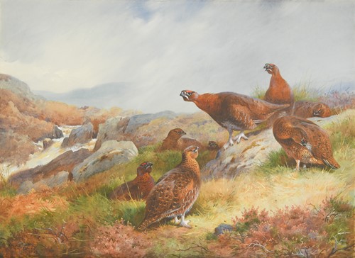 Lot 112 - Archibald Thorburn (Scottish, 1860-1935)