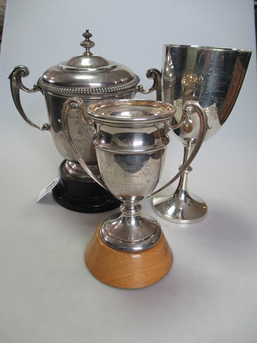 Lot 215 - three silver trophy cups 39.5ozt gross (3)