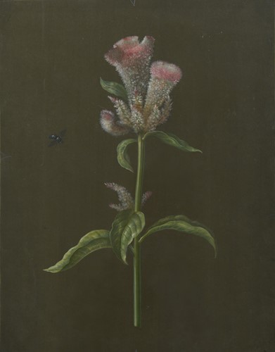 Lot 163 - Barbara Regina Dietzsch (German, 1706-1783), Johann Christoph Dietzsch (1710-1769)